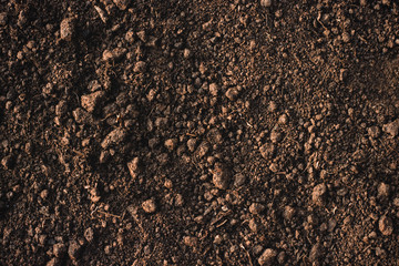 Soil texture background, Fertile soil for planting.