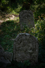 Jeden z najstarszych w Polsce, cmentarz żydowski w Szczebrzeszynie
