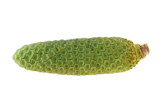 Ananasbanane Images  Browse 7 Stock Photos, Vectors, and Video | Adobe  Stock