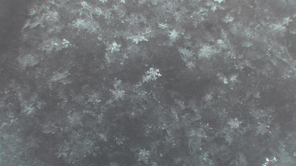 Snowflakes closeup