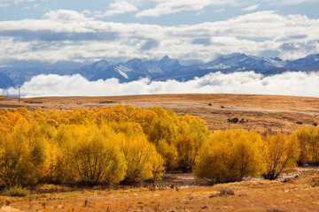 Fototapeta premium Autumn in New Zealand