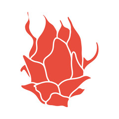 Dragon Fruit Icon
