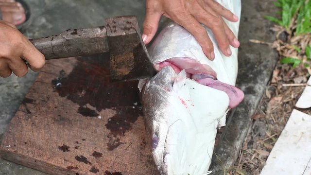 Fishermen are cutting fish for cooking.