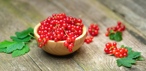Fresh ripe red currant berries with leaves in a bowl on rustic old wooden table. Healthy organic food, summer vitamins, BIO viands, natural background. Copy space for your advertising text message