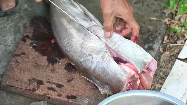Fishermen are cutting fish for cooking.