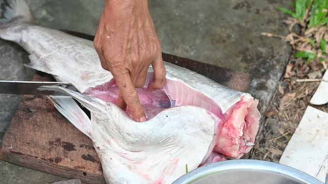Fishermen are cutting fish for cooking.