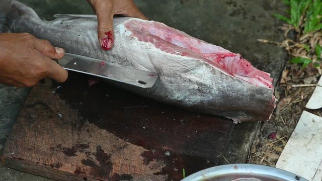 Fishermen are cutting fish for cooking.