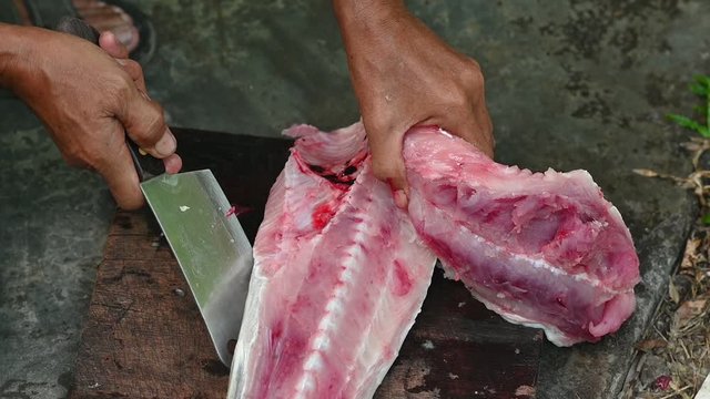 Fishermen are cutting fish for cooking.