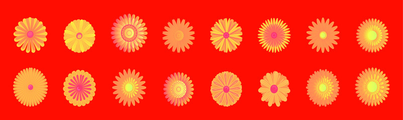 a set of calendula flowers icon design template with various models. vector illustration