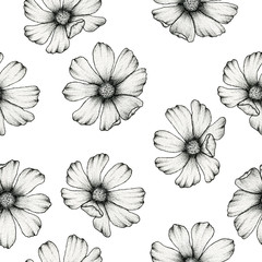 cosmos flower ink drawing seamless pattern, botanical line art hand drawn illustration for backgrounds, wrapping or fabric, realistic cosmos flower design
