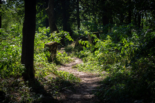 Jeden z najstarszych w Polsce, cmentarz żydowski w Szczebrzeszynie