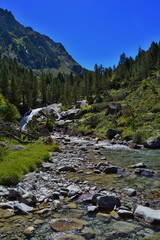 Fototapeta premium mountain steam in the mountains