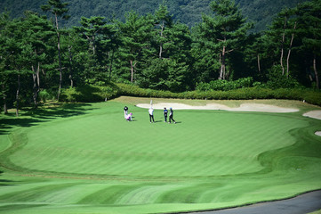 Fairway and Green on the Golf Course