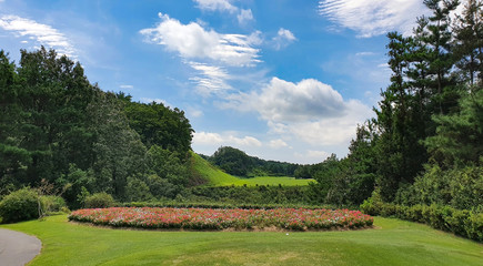 Fairway and Green on the Golf Course