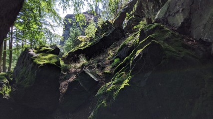 Beautiful cliff Rock in the Central European Forest