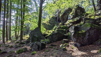 Beautiful cliff Rock in the Central European Forest