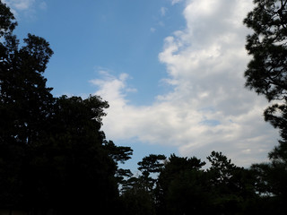 夏の青空