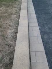 walkway in the park