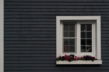 Fototapeta na wymiar gray wall with white French window and flowers