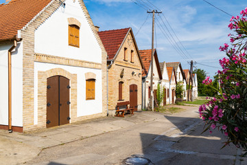 cellar lane in Hajos, Kalocsa County, Southern Great Plain Region, Hungary