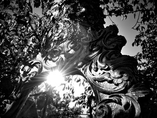 mirror © Krzysztof