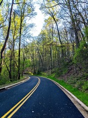 Obraz premium Rock Creek Drive