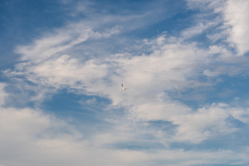 Morning sunrise and waves at the beach