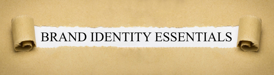 Brand Identity Essentials