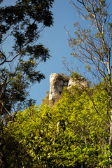 Fototapeta premium Landscape of big rocks troght the trees in the florest