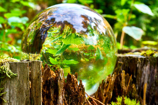 Glass ball on a rotten tree stump with upside down green leaves