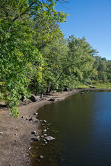Fototapeta na wymiar Walden Pond, Massachusetts, on a bright sunny day.