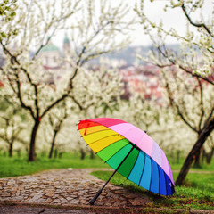 umbrella in the park
