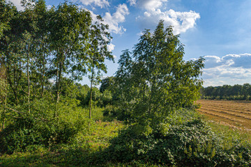 Obraz premium Photography