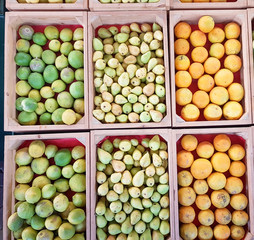 fruits lemons oranges pears in basket