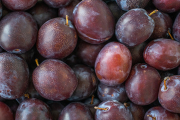 Closeup of blue plums. Background of fresh plums.