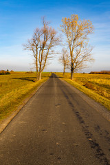 Naklejka premium way under high Tatras in Slovakia