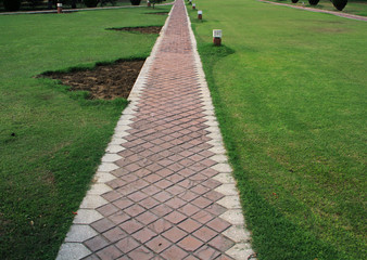 Path to walk with green grass and friendly environment in parks