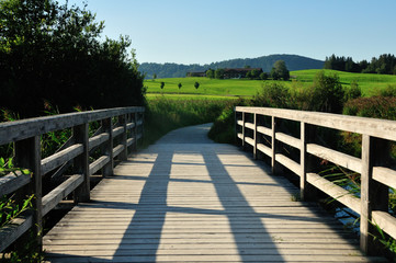 wooden bridge over the river