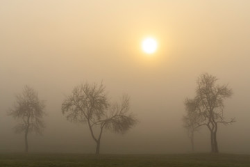 Fototapeta na wymiar Foggy sunrise in northern Hungary