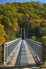 鮮やかな紅葉へと誘う頑丈な吊り橋