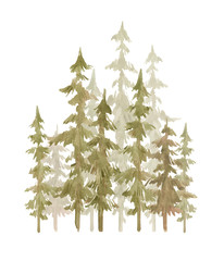 Watercolor fall green deep forest with spruce, oaks, pines trees. Isolated hand drawn illustration with summer wood. Landscape with evergreen autumn trees.