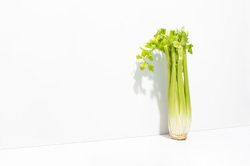 Fresh raw celery standing along the wall casting a shadow, minimalist healthy nutrition concept