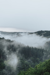 Foggy Day in the hills of Germany