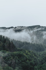 Foggy Day in the hills of Germany