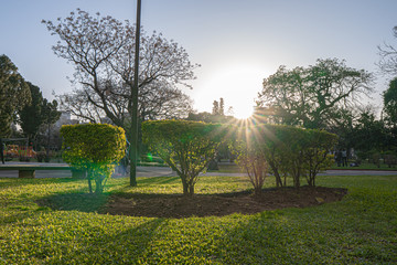 Obraz premium Undercrowded park, reopening of parks after a pandemic. Sunny afternoon.