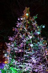 Christmas tree in Vienna, Austria