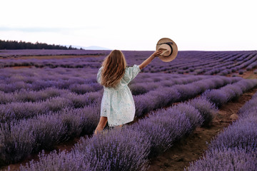 A girl in a dress and a straw hat in a lavender field. Photo from the back.