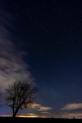Fototapeta na wymiar tree with starry sky before dawn
