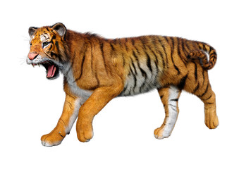 Obraz premium 3D renderowania Big Cat Tiger na białym tle