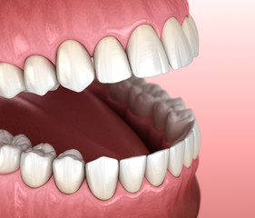 Healthy human teeth with normal occlusion, macro view. Medically accurate tooth 3D illustration